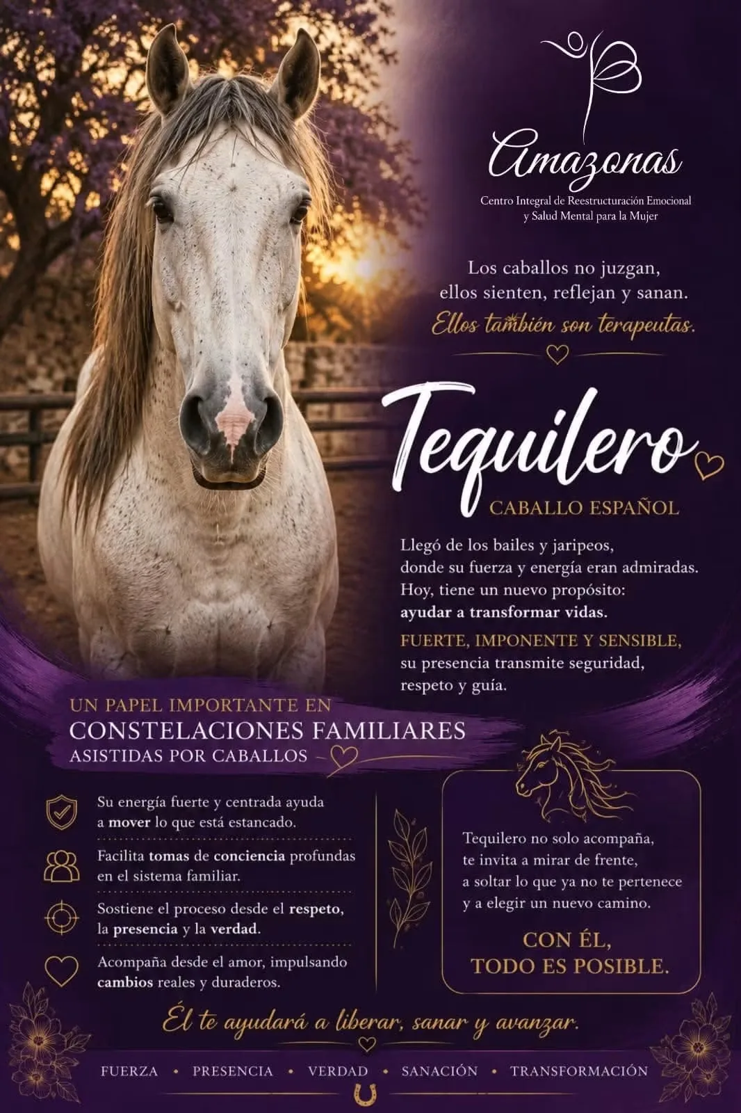 Tequilero, caballo español facilitador en constelaciones familiares