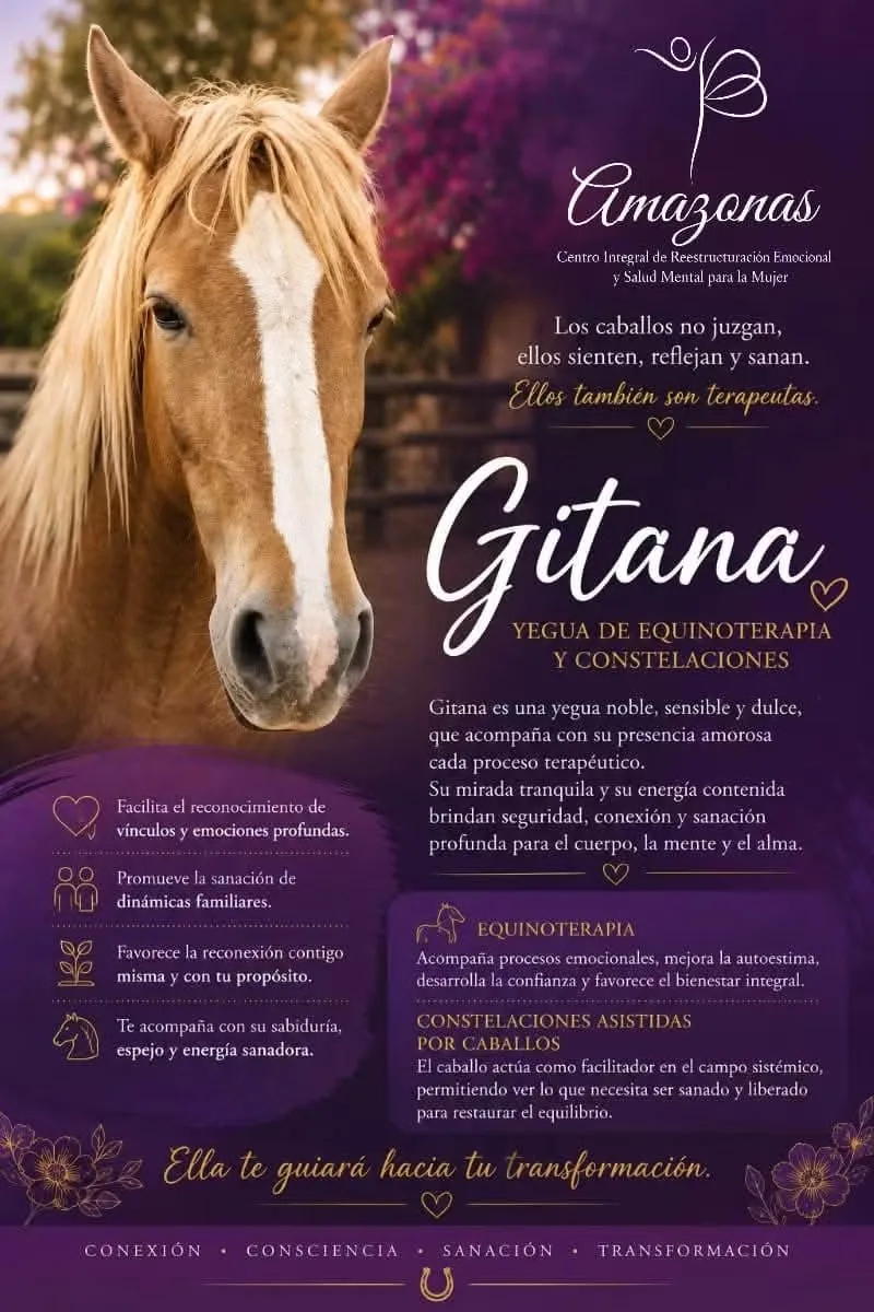 Gitana, yegua de equinoterapia